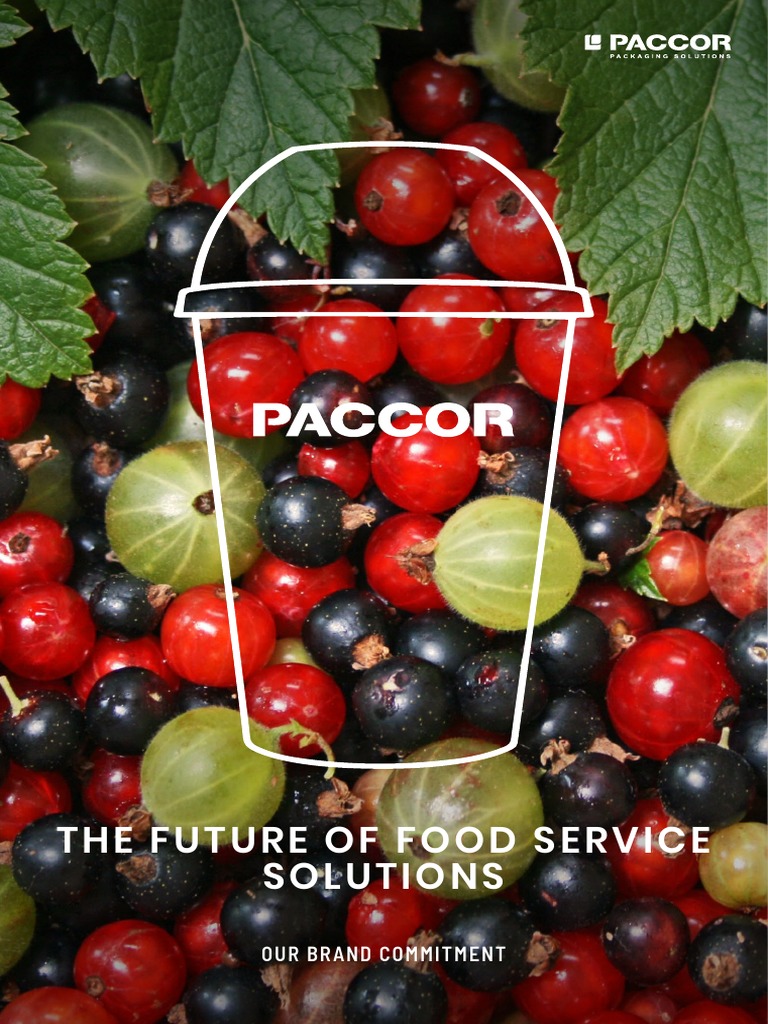 Food Service Packaging Solutions Paccor Booklet | PDF | Recycling ...