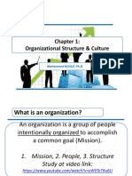1 Organizational Structure & Culture RV2