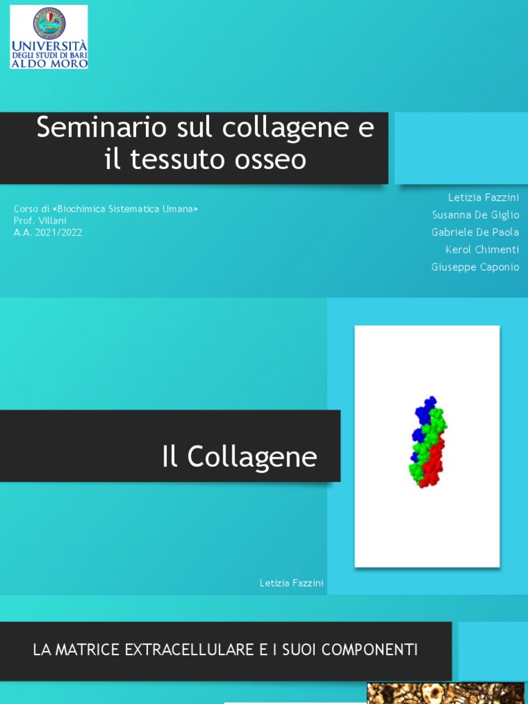 Il Tessuto Osseo PDF