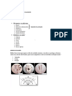 OFTALMOLOGIA Med Vet