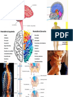 Imagenes Sistema Nervioso