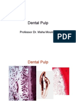 Dental Pulp: Professor Dr. Maha Mounior