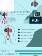 Sistema Urinário