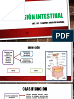 Oclusión Intestinal