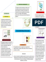 Características y estructura de los seres vivos