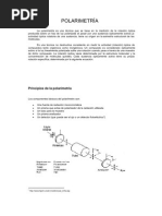 Download POLARIMETRA by Ariana Ulate SN61753722 doc pdf