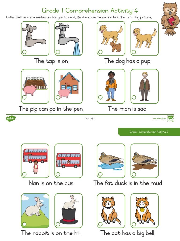 Grade 1 Comprehension Activity 4 | PDF