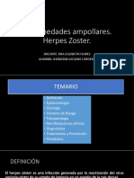Enfermedades ampollares-HERPES ZOSTER PDF