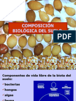 biologia del suelo