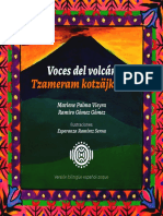 Libro Voces Del Volcan - Lengua Zoque INPI