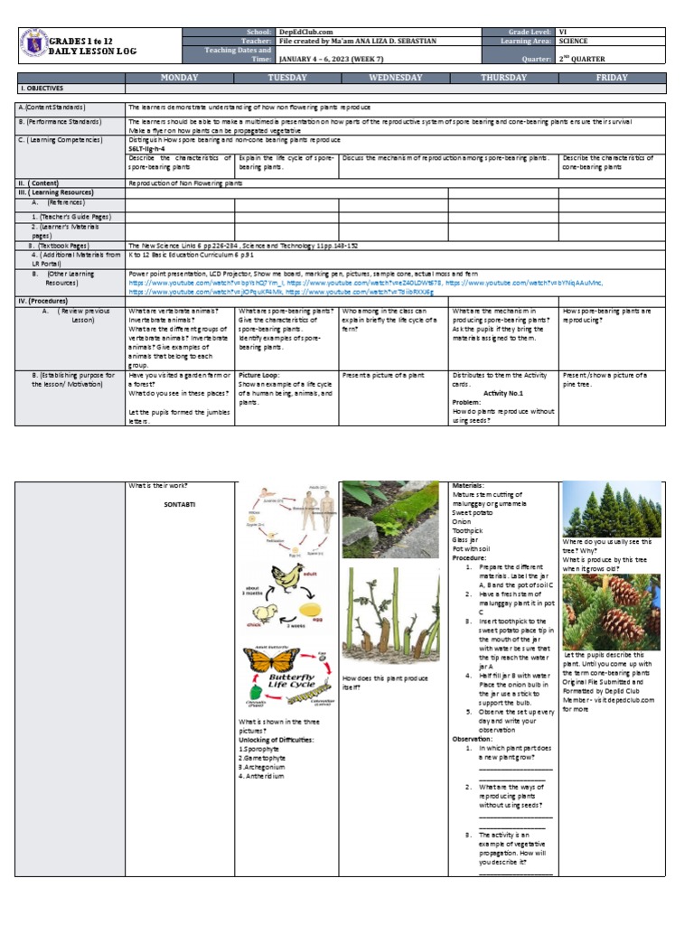 Exploring the Reproductive Processes of NonFlowering Plants PDF