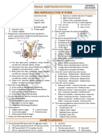 3 Human Reproduction-Entrance Questions