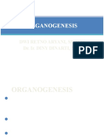 10.ORGANOGENESIS (1)