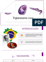 4.3 Trypanosoma Cruzi (Chagas)