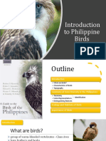BDV 100 Introduction To Philippine Birds