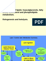 Metabolism Lipids