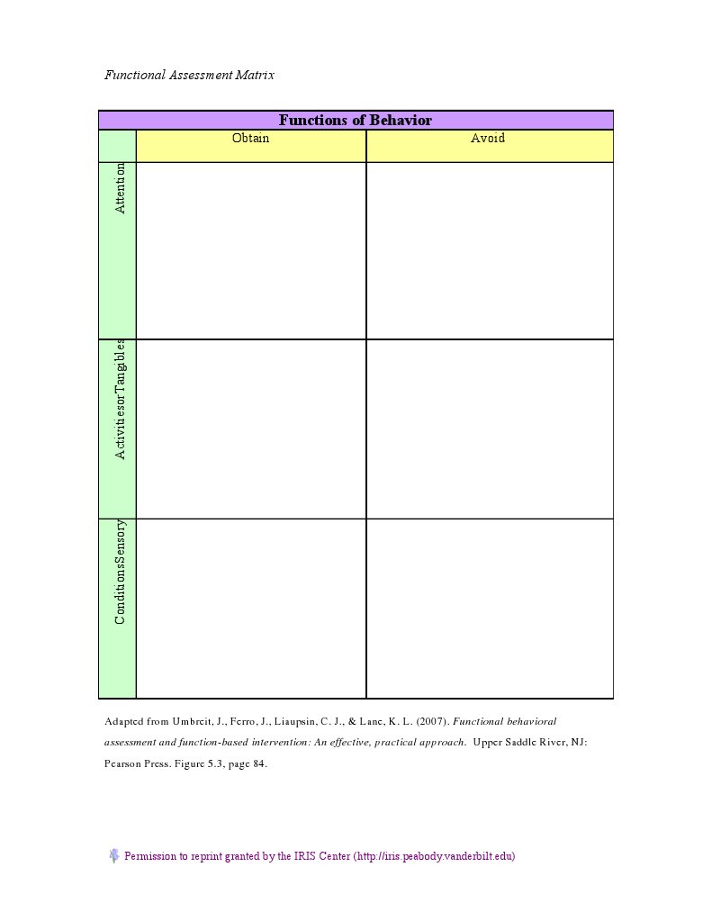 Functional Assessment Matrix Overview | PDF