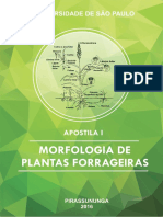 Apostila - Morfologia de Plantas Forrageiras