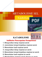 KD 3.2 METABOLISME (Katabolisme)