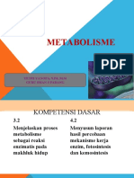 KD 3.2 METABOLISME (Enzim)