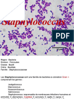 Staphylococcus Streptococcus