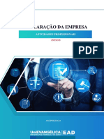 Anexob - Declaração Da Empresa - Atividades Profissionais