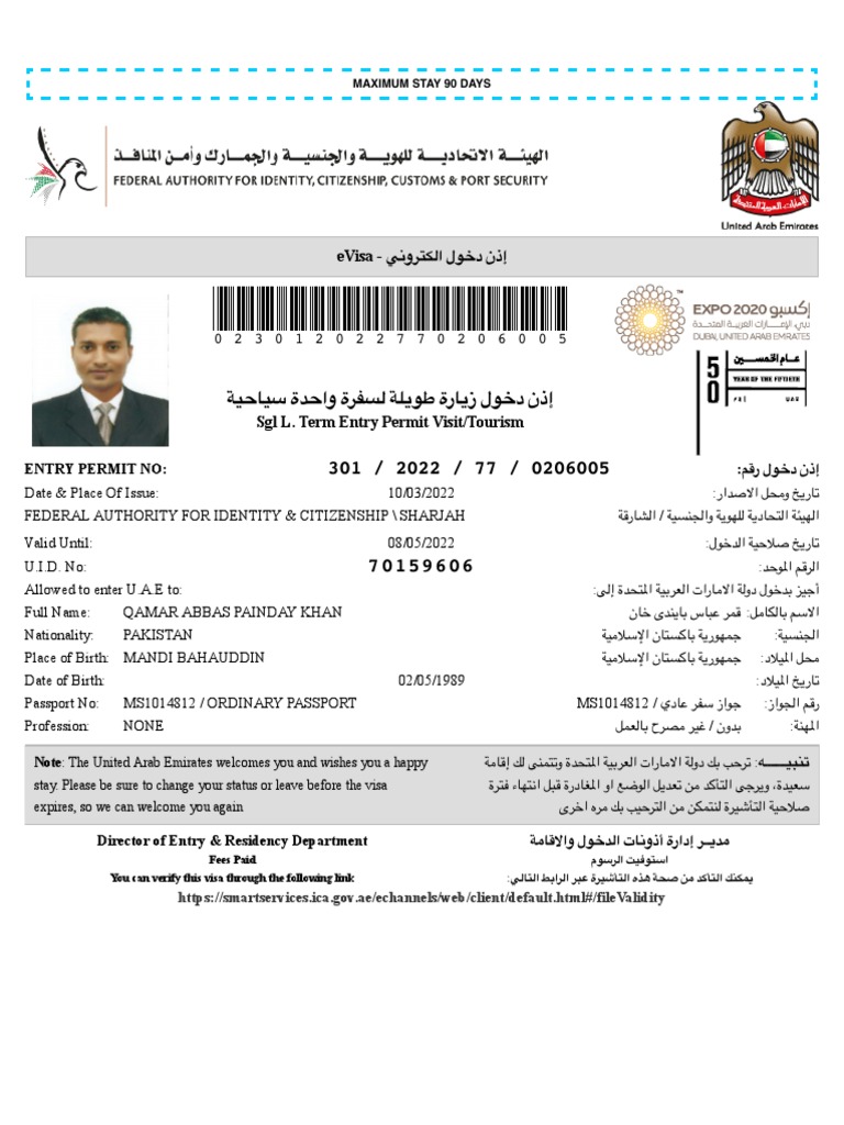 E Visa | PDF