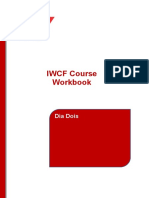 2º Dia - IWCF