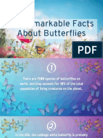 50 Remarkable Facts About Butterflies