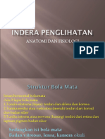 Indera Penglihat