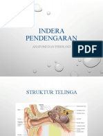 Indera Pendengaran