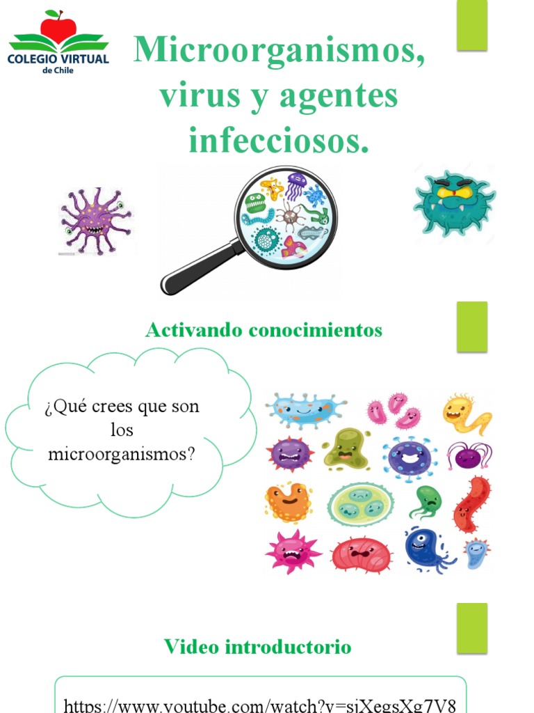 Microorganismos: Virus, Bacterias y Hongos | PDF | Microorganismo | Virus