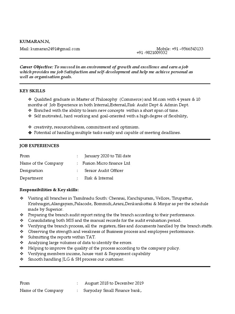 kumaran-resume-pdf-audit-employment