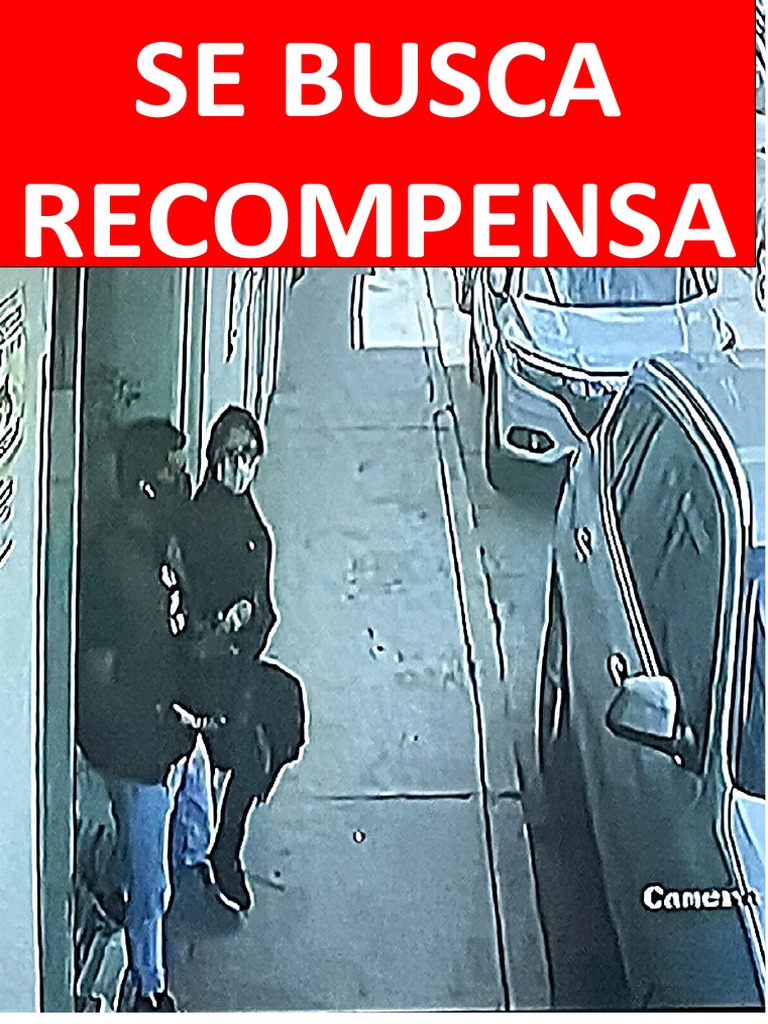 se-busca-rateros-pdf