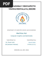 Practical File CGM