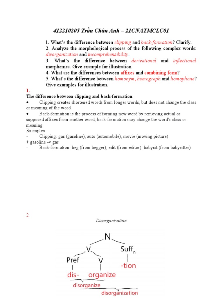 Morphology Revision | PDF | Morphology (Linguistics) | Word