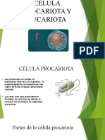 Biología Grupo 8