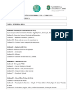 Conteudo Programatico Informatica Basica Presencial