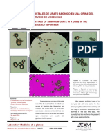 PLANTILLA PDF. Articulo 1 - Cristales Urato