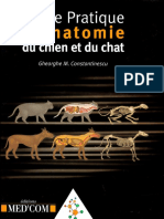 Guide Pratique Danatomie Du Chien Et Du Chat 2005