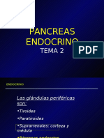 Tema 2.pancreas Endocrino-1