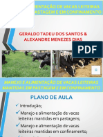 Manejo Alimentacao Vacas