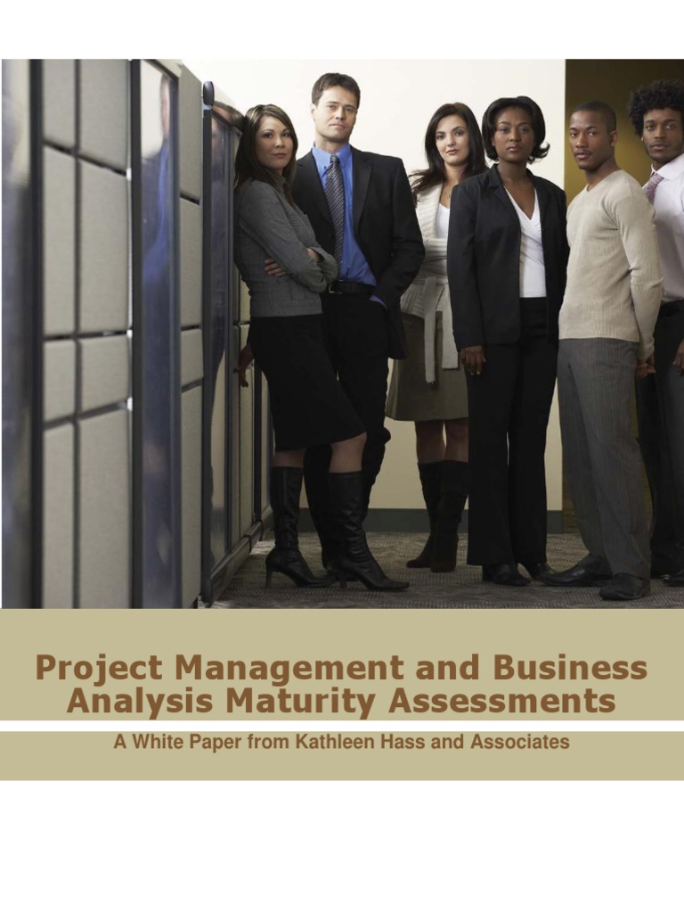 BA and PM Assessments | PDF | Competence (Human Resources) | Business ...