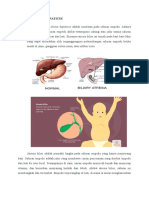 Materi Atresia Duktus Hepatikus