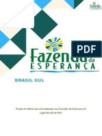 Projeto de Diarios Brasil Sul