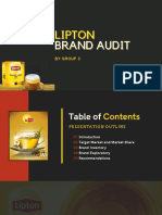 Lipton Brand Audit