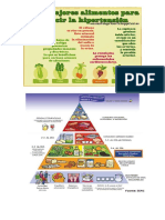 Alimentos Sanos