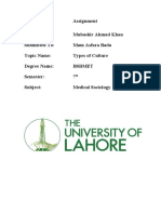 Assignment Types of Culture Mubashir Sem 7th