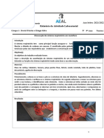 Relatório de Atividade Laboratorial 9ºano 2022