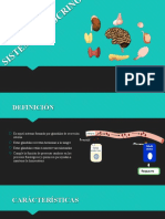 Sistema Endocrino